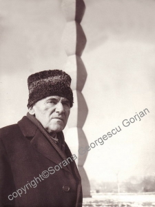 stefan-georgescu-gorjan-1979-copyright