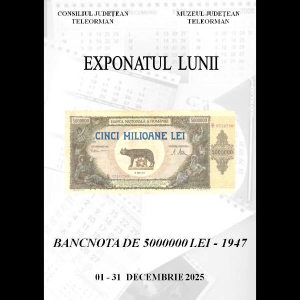 muzeul județean teleorman