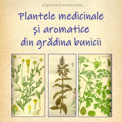 plante medicinale