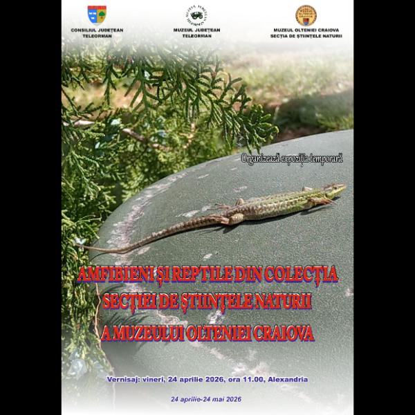 muzeul județean teleorman