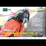conferințele de la șosea
